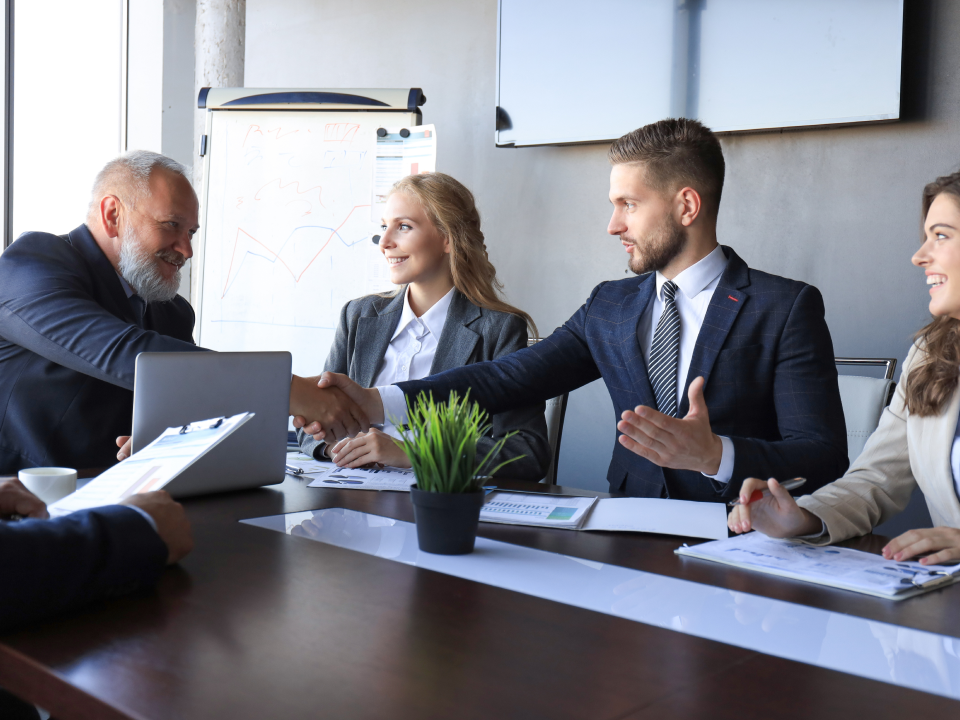 amnis Partnership Program