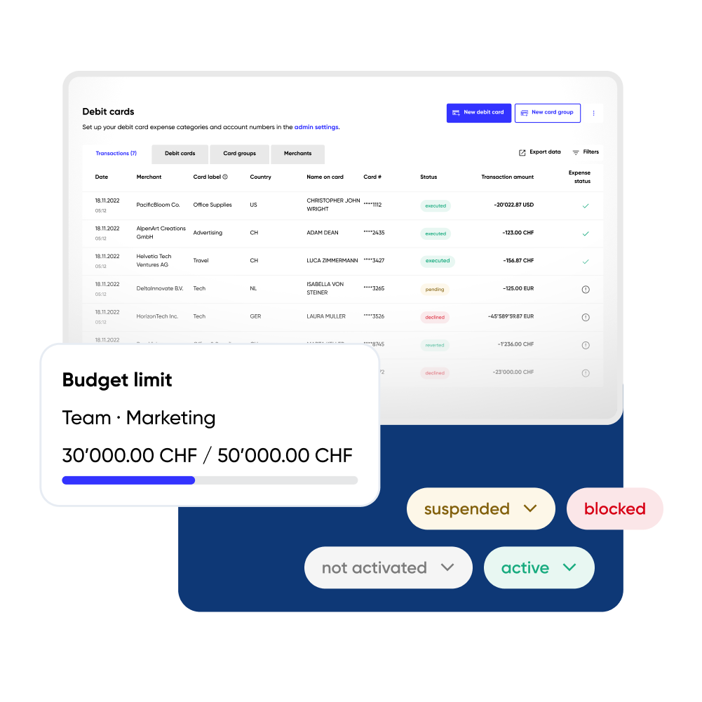Desktop view of dransactions in the dashboard including budget limit settings