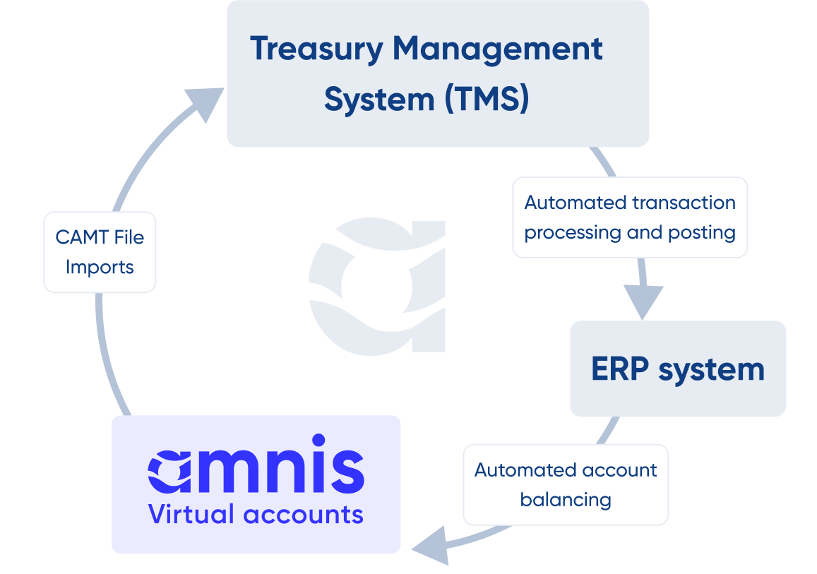 Illustration of how the amnis debit card integrated with treasury management systems